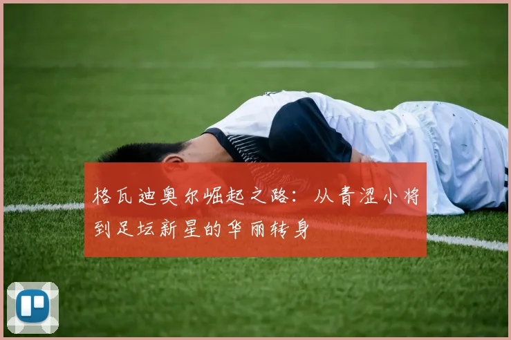 格瓦迪奥尔崛起之路：从青涩小将到足坛新星的华丽转身