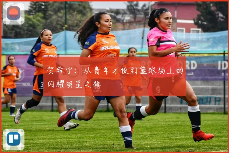 贺希宁：从青年才俊到篮球场上的闪耀明星之路