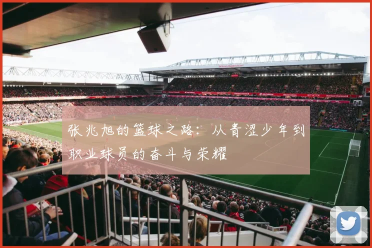张兆旭的篮球之路：从青涩少年到职业球员的奋斗与荣耀