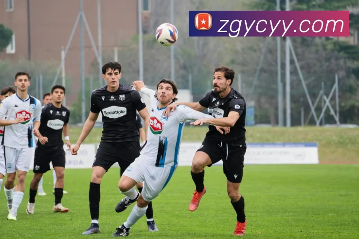 App Interface Preview